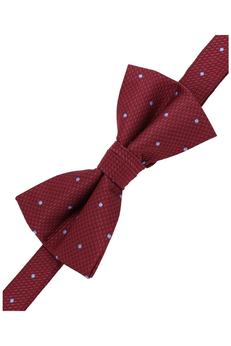 Dot Bow Tie & Lapel Pin Set, Alternate, color, BRG/ BLUE
