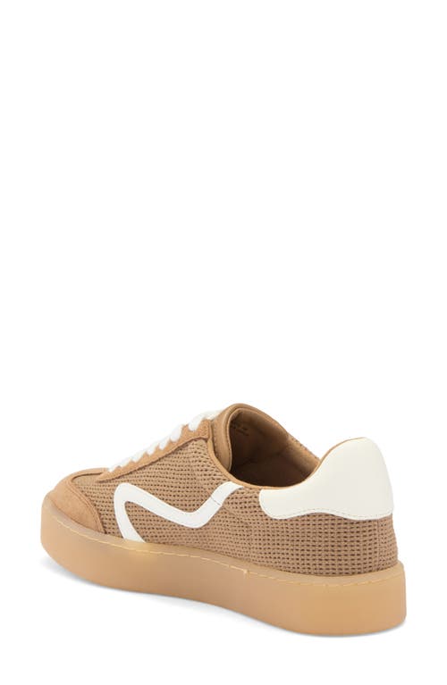 Steve Madden Reformer Sneaker In Tan