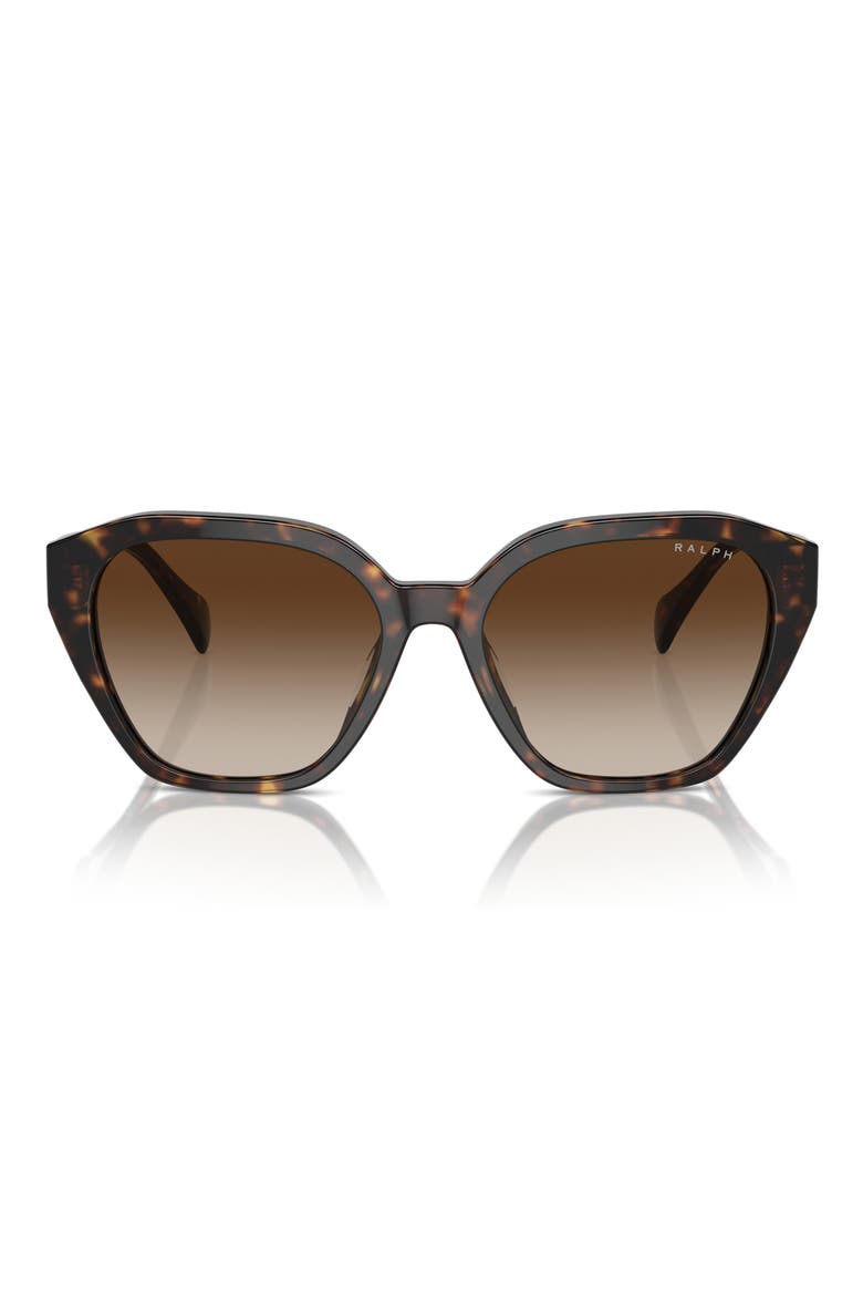 54mm Cat Eye Sunglasses, Main, color, SHINY DARK HAVANA / BROWN