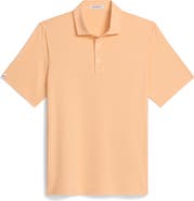 ASHWORTH GOLF Encinitas Polo