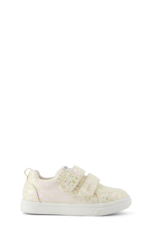 Toms Kids' Cruz Sneaker In Brown