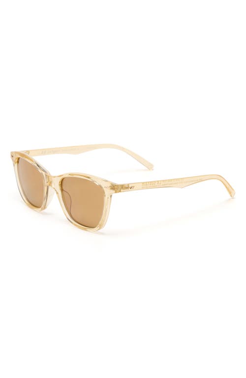 Le Specs Nonsensical 52mm D-frame Sunglasses In Blonde/light Brown Mono