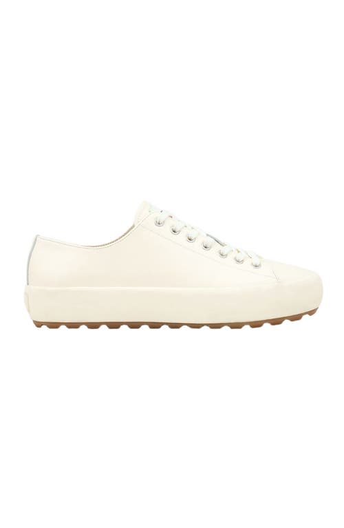 Sandro Low-top Split Leather Trainers In Multi
