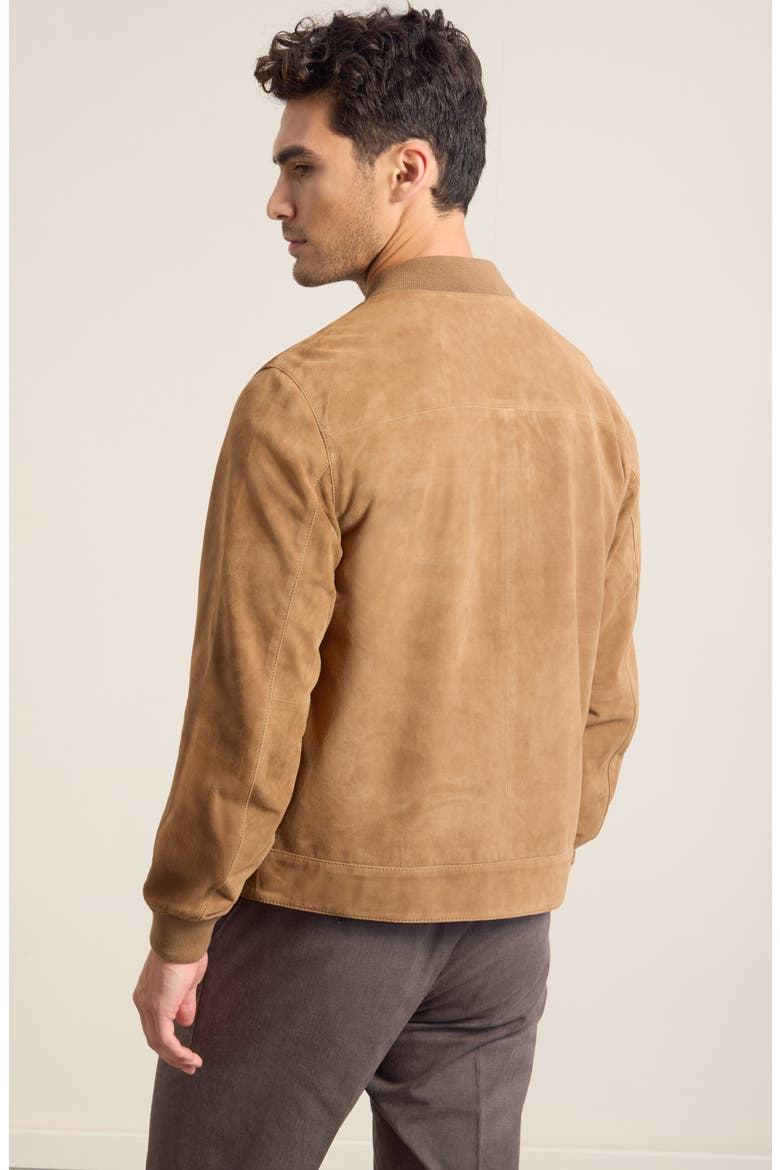 Suede Bomber Jacket, Alternate, color, BROWN BEAR