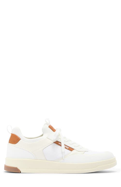 STEVE MADDEN STEVE MADDEN DEVLIN SNEAKER