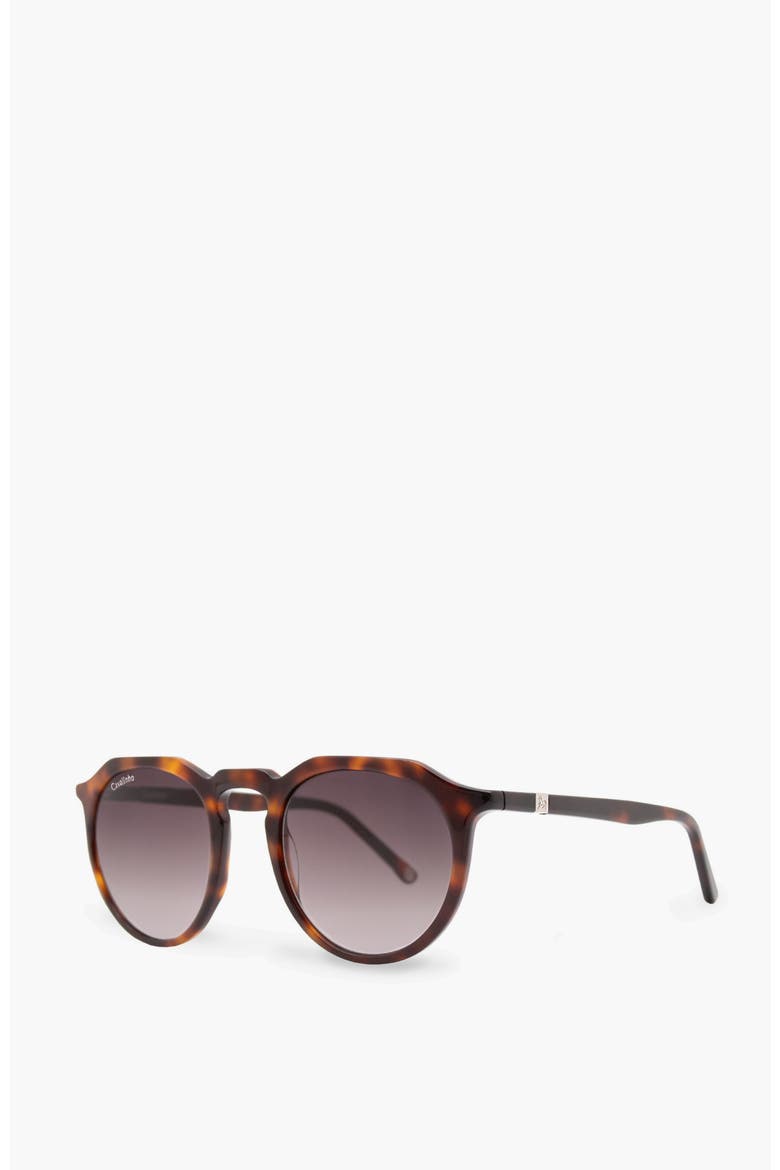 Sunglasses City, Alternate, color, Brown