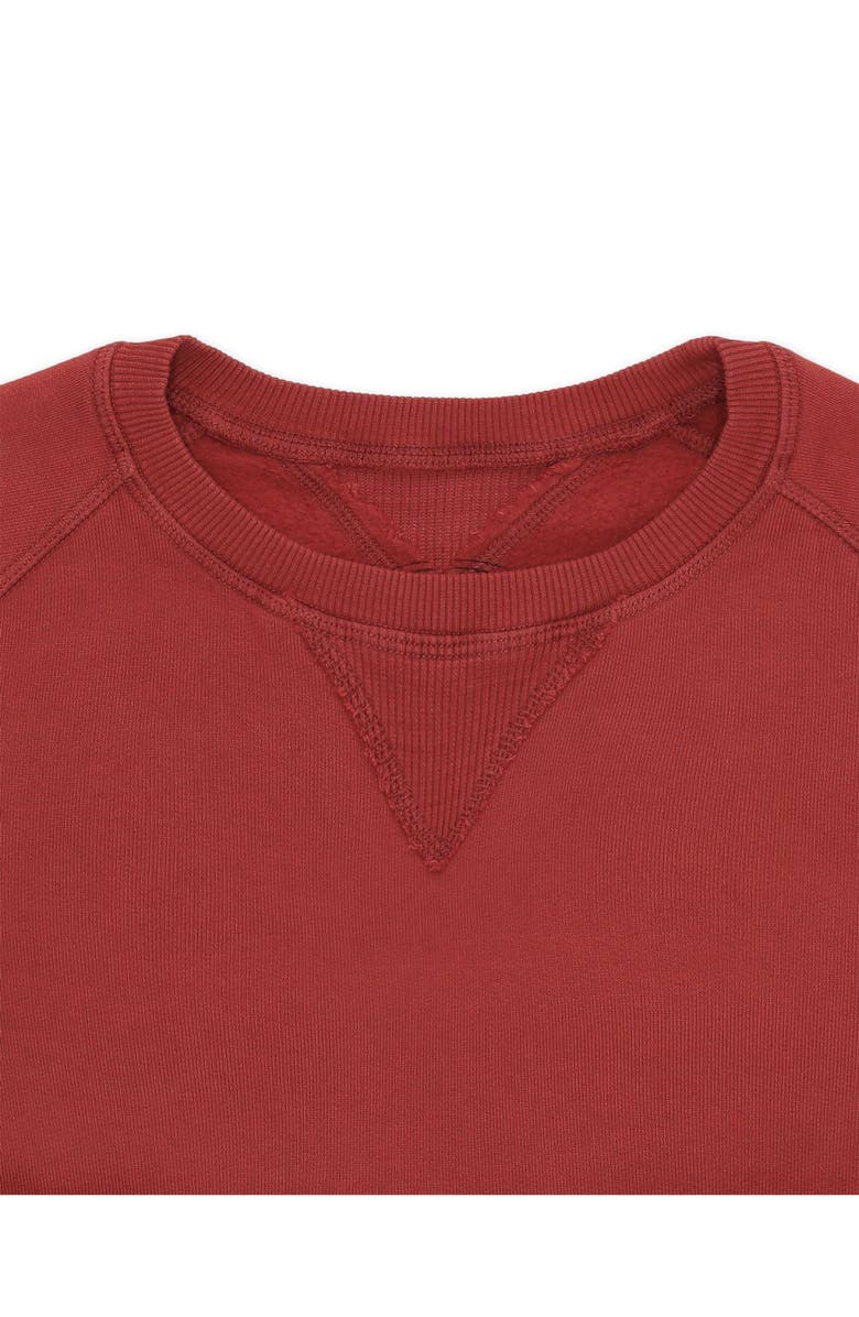 Fortela Harvard Printed Sweatshirt, Alternate, color, Burgundy