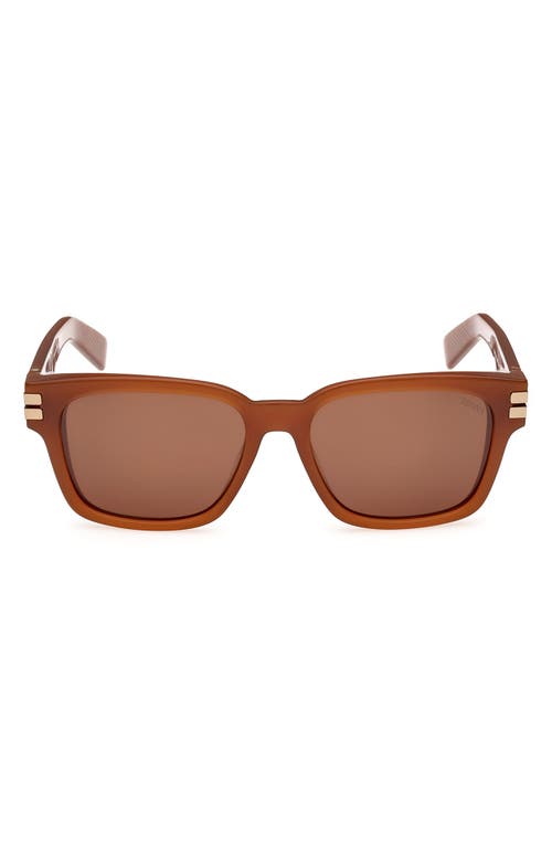 Zegna 55mm Polarized Rectangular Sunglasses In Brown