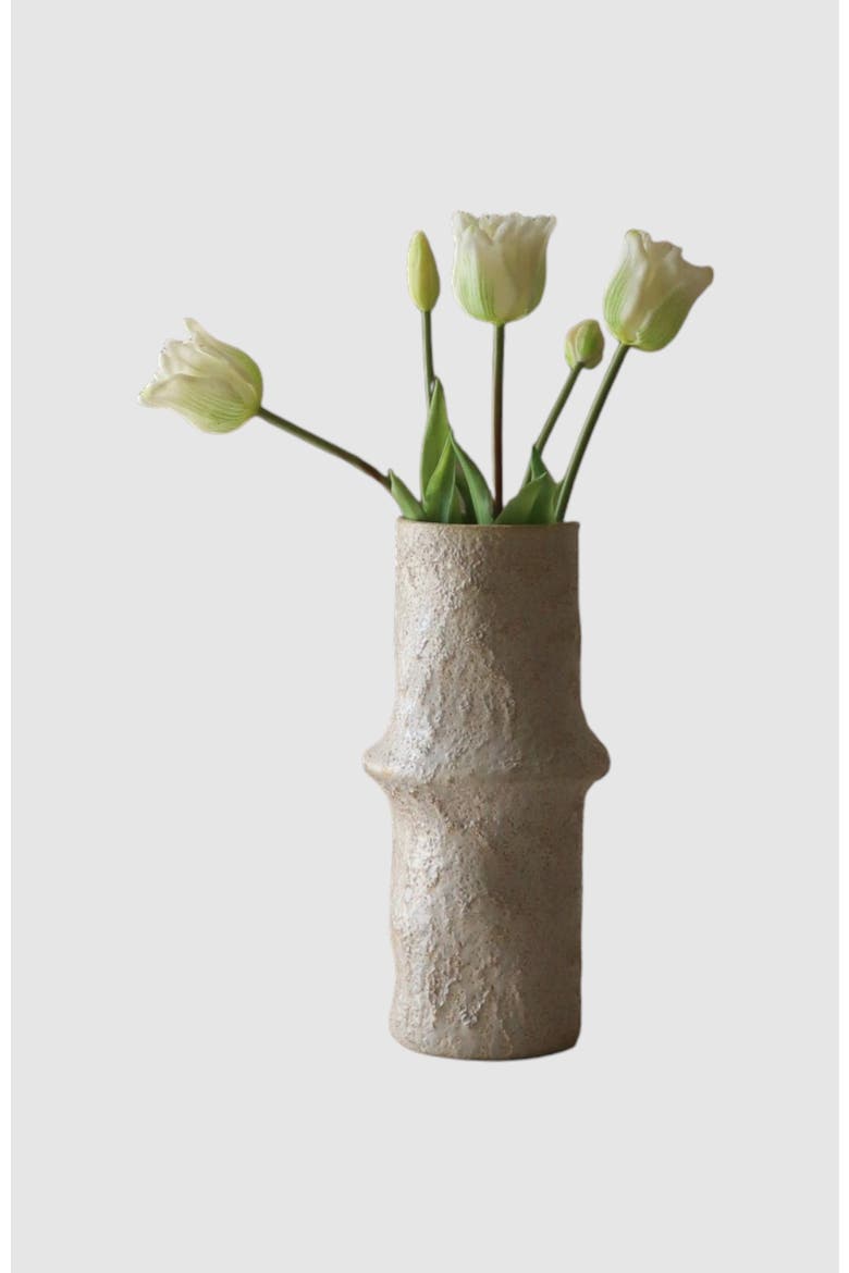 White Triumph Tulips, Alternate, color, White