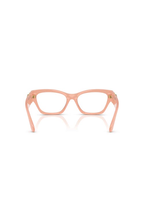 Versace 54mm Cat Eye Optical Glasses In Brown