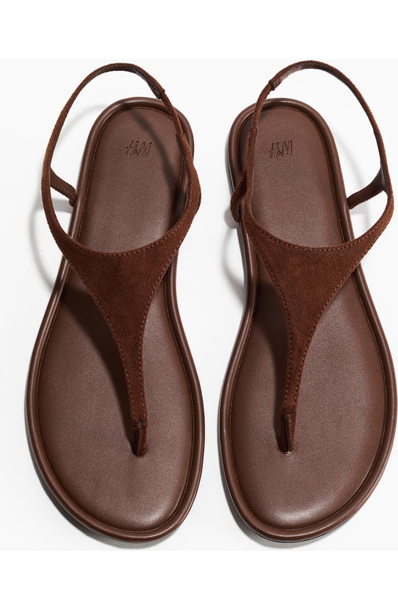 H&M Sandals, Alternate, color, Dark Brown