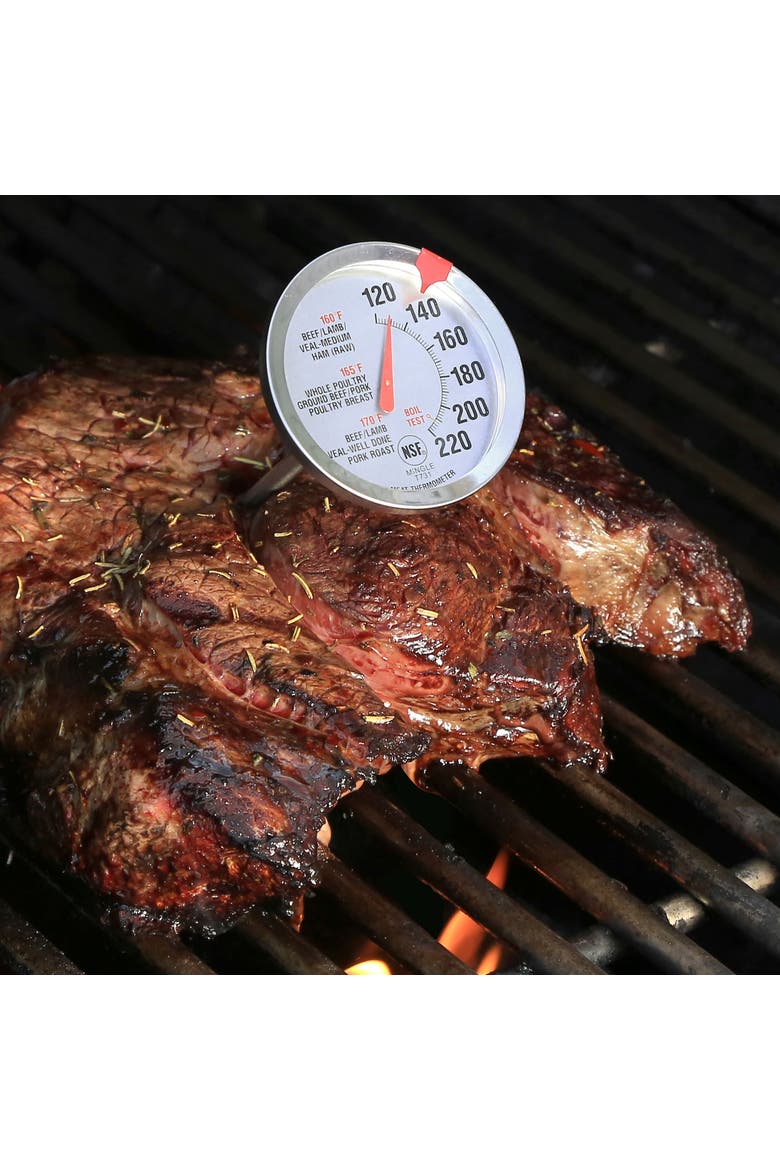 Oven Safe Meat Thermometer, Alternate, color, Metallic Silver