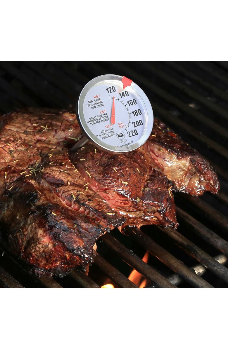 ESCALI Oven Safe Meat Thermometer, Alternate, color, Metallic Silver