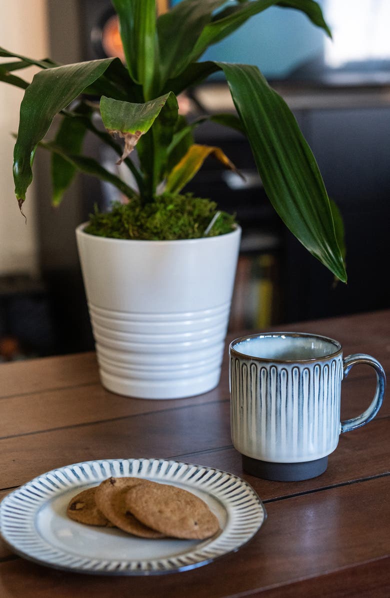 BIA Cordon Bleu Set of 4 Colonnade Mug, Alternate, color, Cream