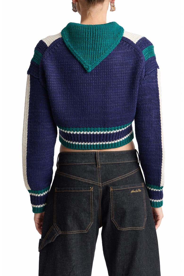Striped Chunky Zip Cardigan, Alternate, color, NAVY COMBO