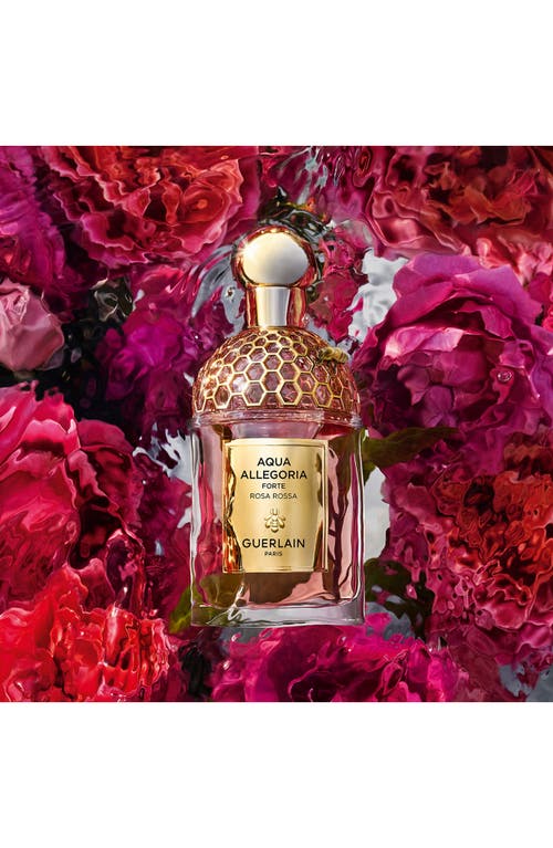 Guerlain Aqua Allegoria Rosa Rossa Forte Eau De Parfum Set $178 Value In Transparent