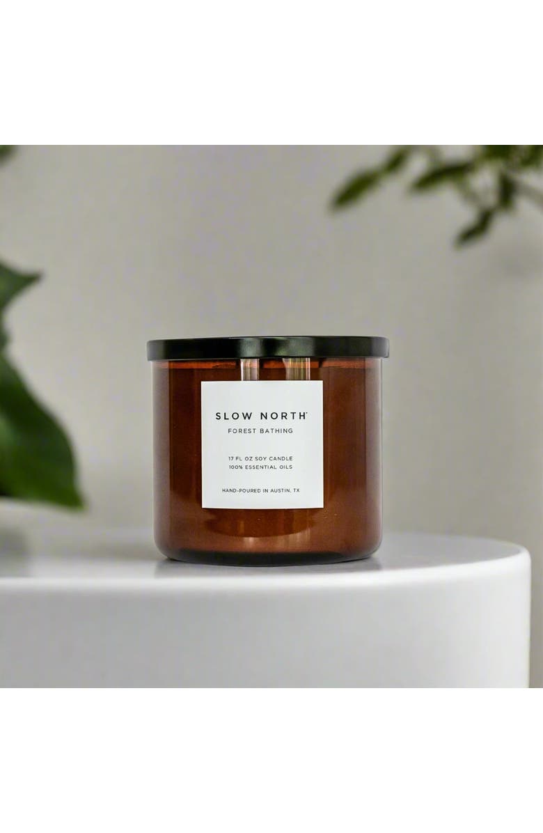 SLOW NORTH Forest Bathing - Signature 3-Wick Candle, Alternate, color, Brown