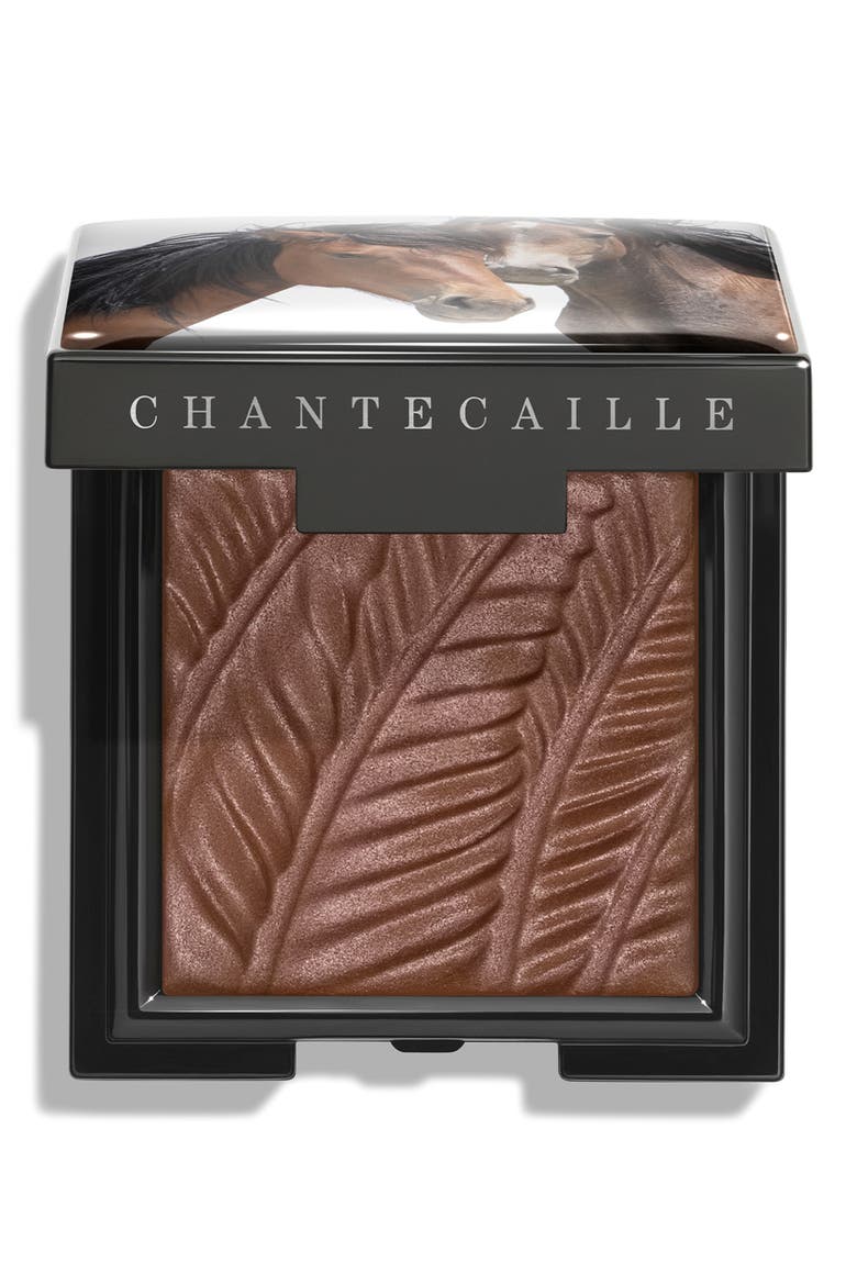 Matte Eyeshadow (Limited Edition), Main, color, BAY