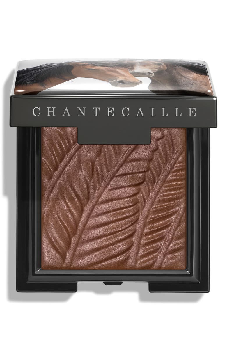 Chantecaille Matte Eyeshadow, Main, color,