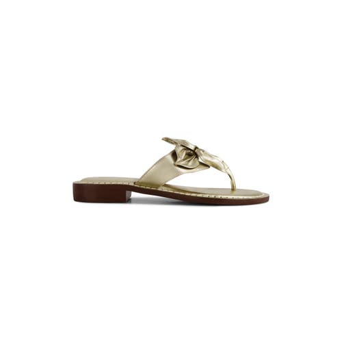Shop Bernardo Footwear Taormina Thong Sandal In Champagne