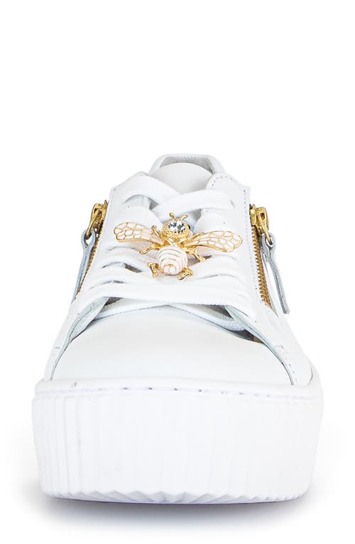 Gabor 63.201 Platform Sneaker In White