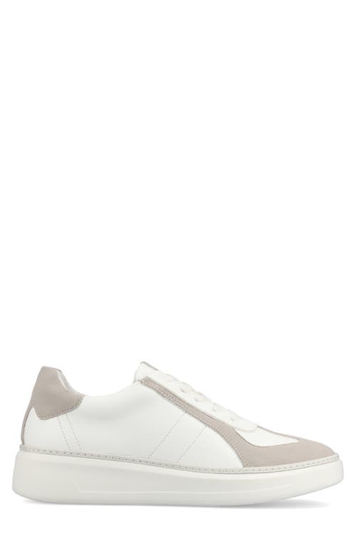 Vance Co. Vance Co Berlin Low Top Sneaker In White