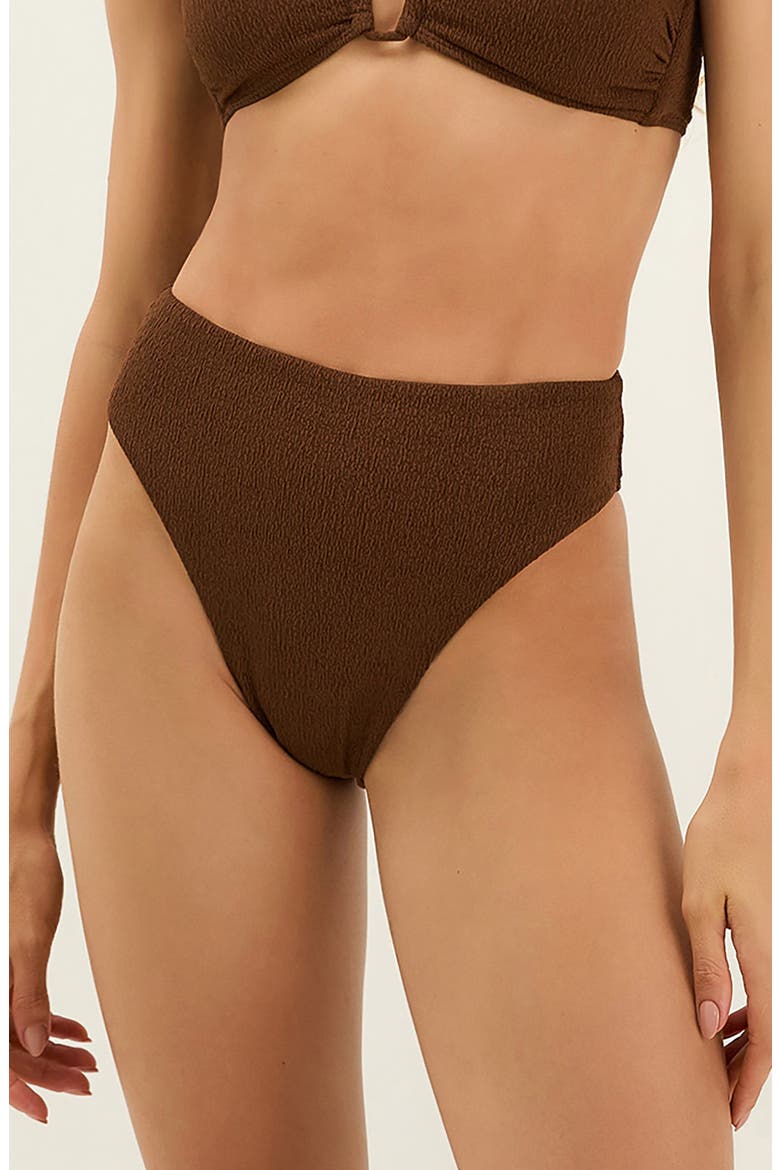 Gigi Hot High Waist Bikini Bottoms, Main, color, BROWN