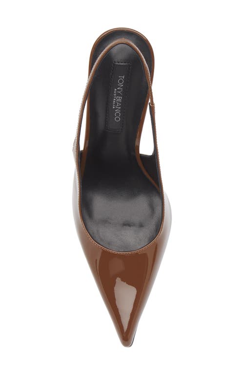 Tony Bianco Slingback Pointed Toe Pump In Brown