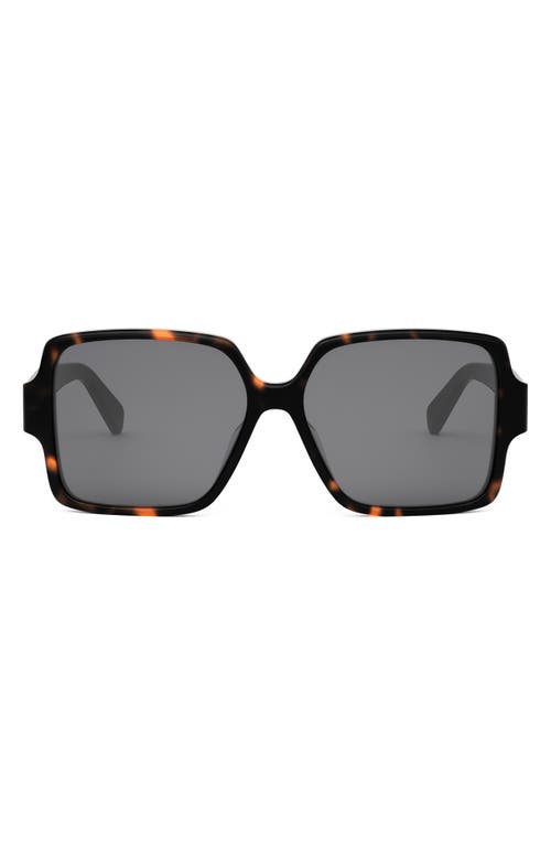 Celine Cl40316u Triomphe 52a Havana Sunglasses In Black