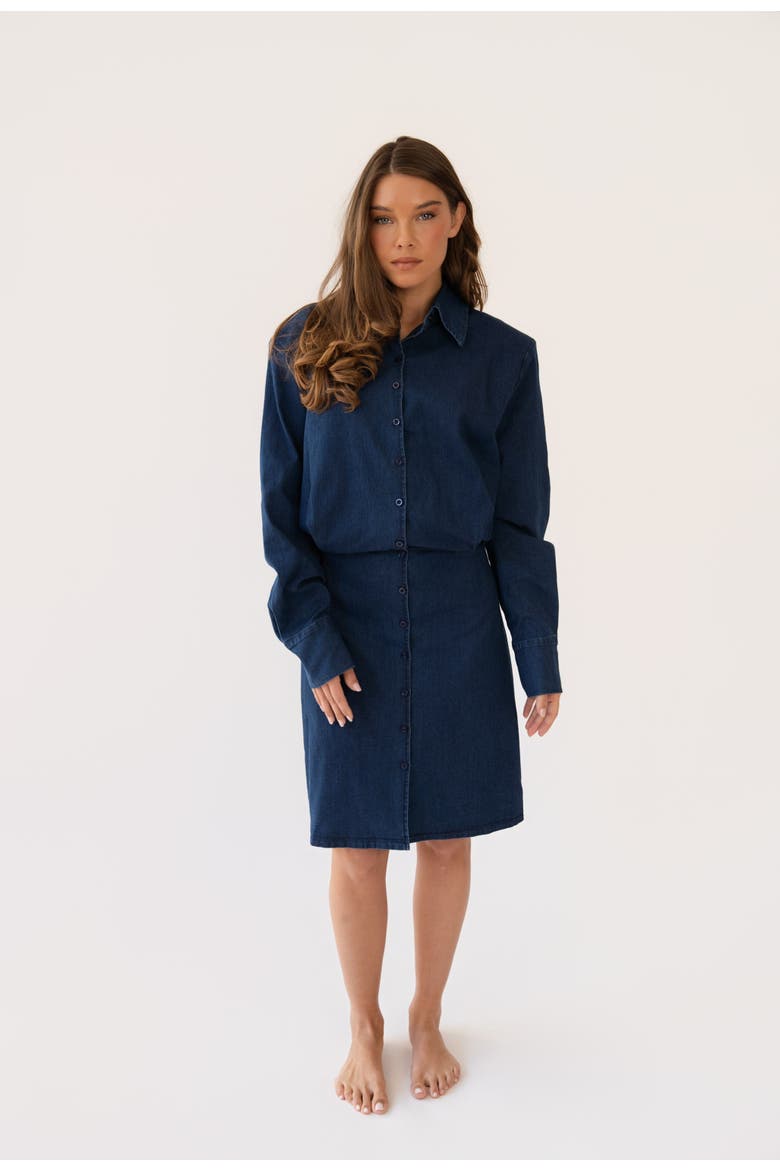 Shani Dress, Alternate, color, Denim