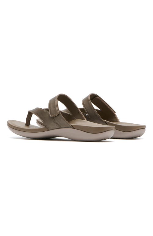 Abeo Oasis Thong Sandal In Fossil - Regular