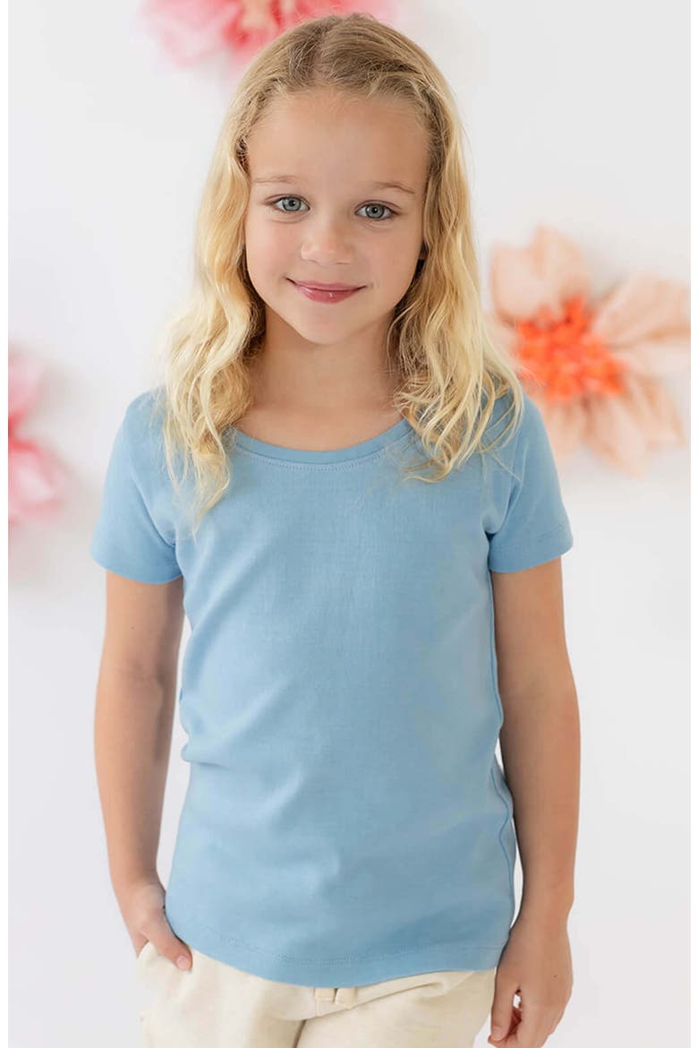 Organic Cotton Short Sleeve Ribbed Scoop Neck Tee, Alternate, color, Chambray