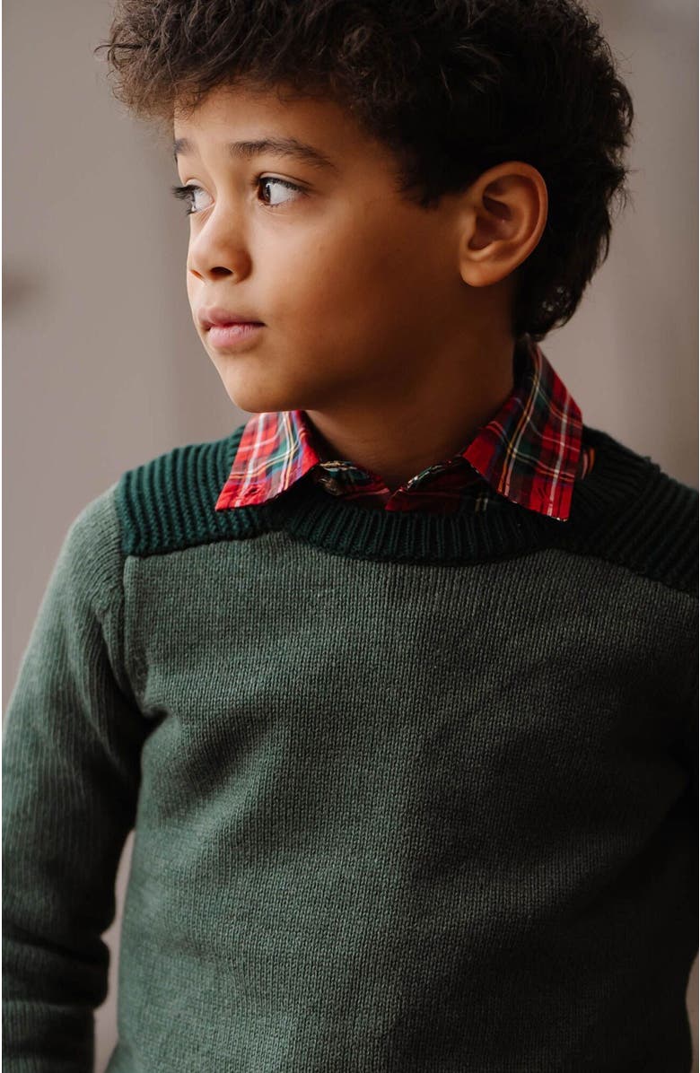 Hope & Henry Boys' Organic Shoulder Detail Crew Neck Sweater, Kids, Alternate, color, 