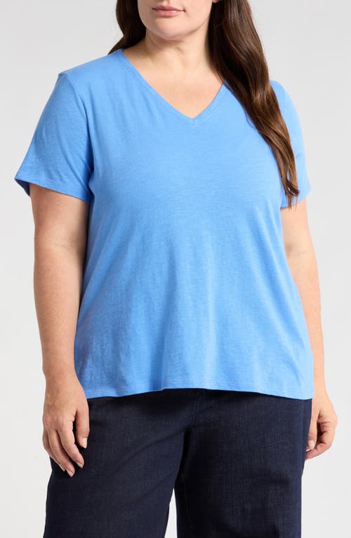 Eileen Fisher Easy V-neck Organic Cotton T-shirt In Ultramarine