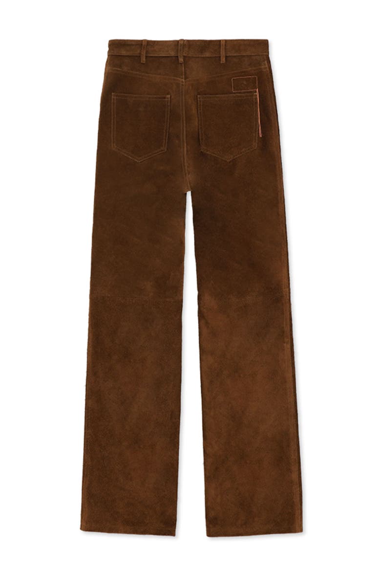 High Waist Suede Leather Trousers, Alternate, color, Brown