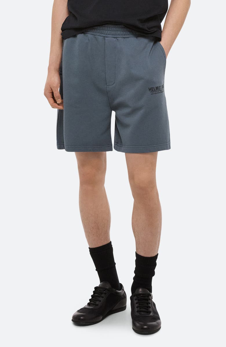 Helmut Lang Capsule Shorts, Main, color, Slate Blue