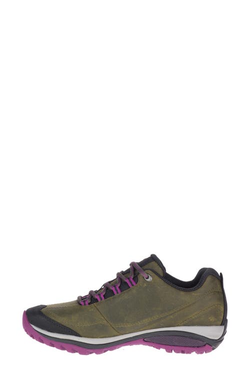 Merrell Siren Traveler Hiking Sneaker In Olive/purple