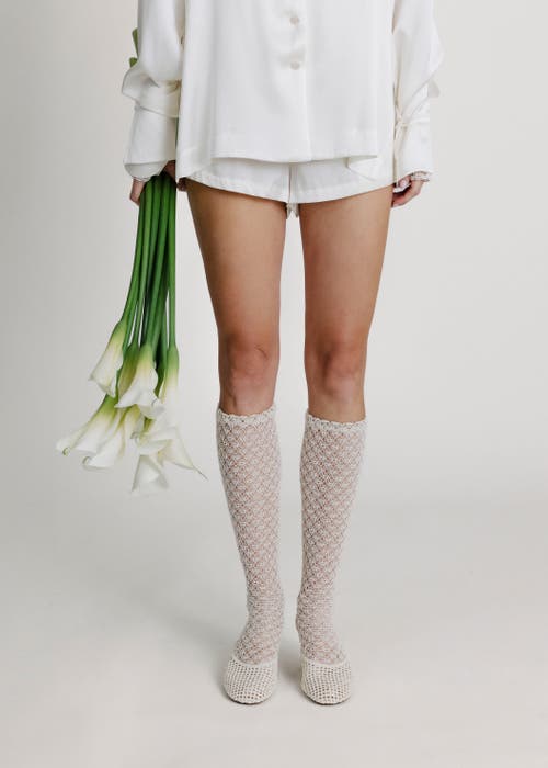 Alas Lace Knee High Socks In White