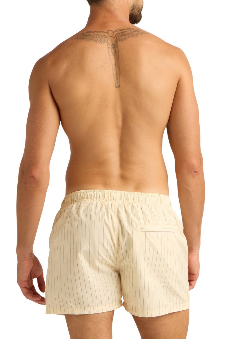 Print 4-Inch Nylon Swim Trunks, Alternate, color, TAILORED STRIPE/SEA SALT