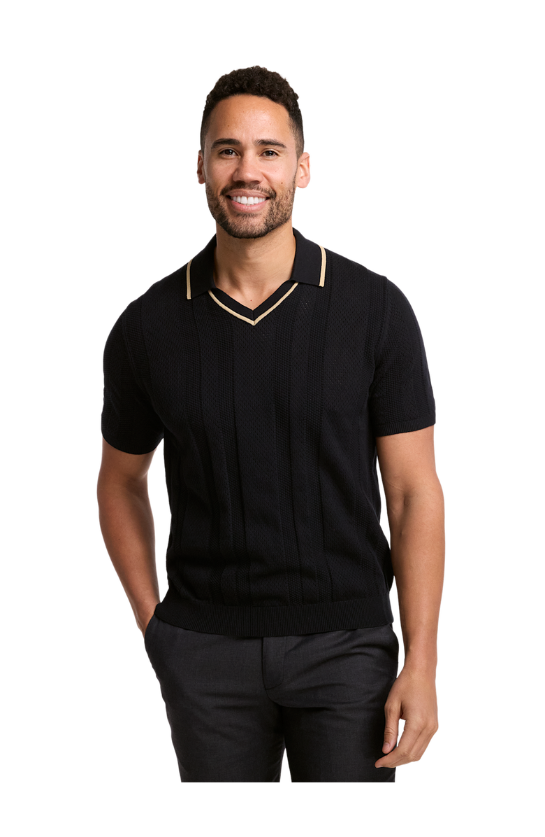 Paul Fredrick Cotton Crochet V-neck Polo, Alternate, color, Black