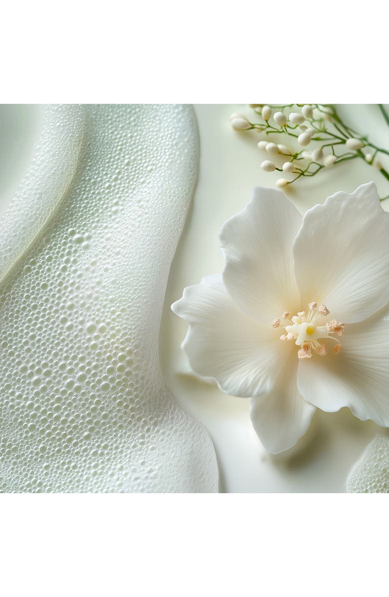 Leonor Greyl PARIS Lait Luminescence Heat Protecting Detangling Styling Milk, Alternate, color, 