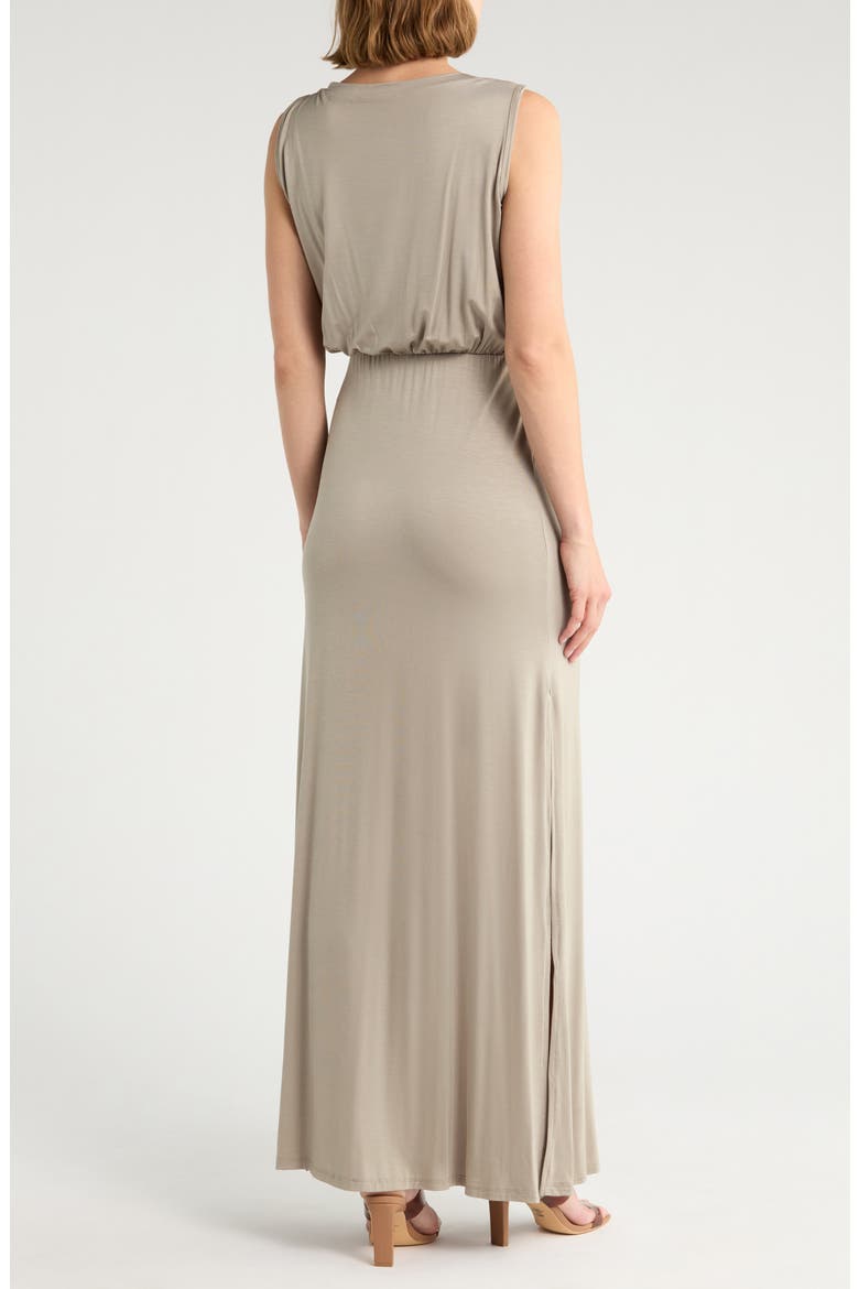 Sleeveless Maxi Dress, Alternate, color, KASHMIR
