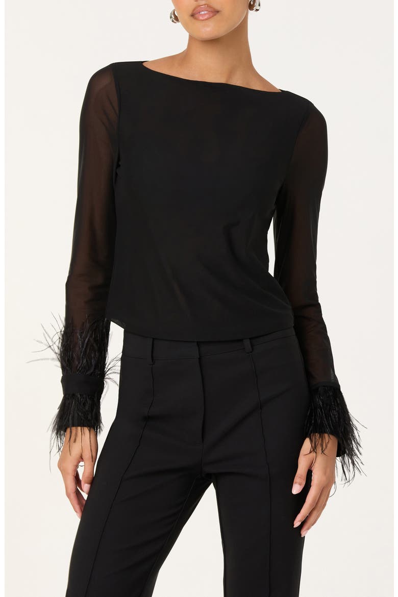 Brisa Feather Trim Long Sleeve Top, Main, color, BLACK