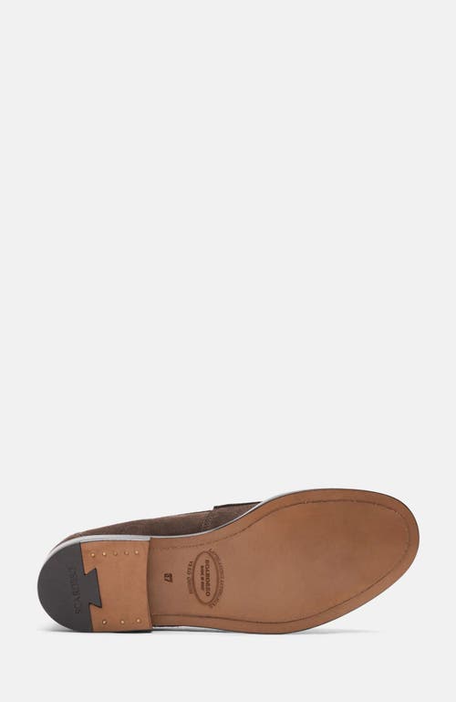 Scarosso Harper Suede Penny Loafers In Brown