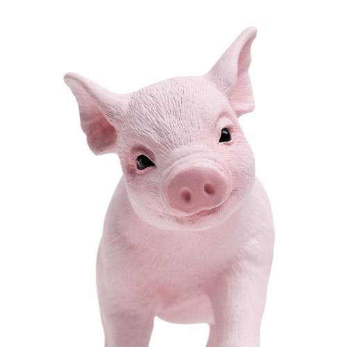 Safari Ltd. Piglet