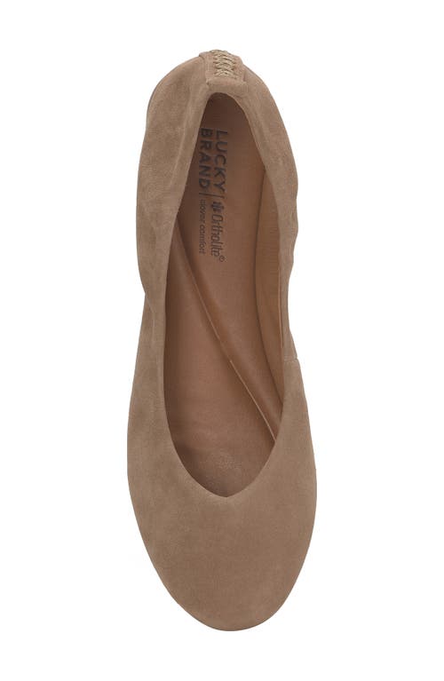 Shop Lucky Brand Emmielou Ballet Flat In Porcini