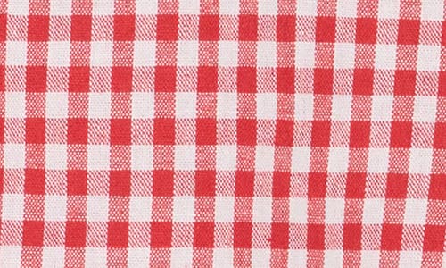 Elodie Gingham Fitted Crop Top In Red