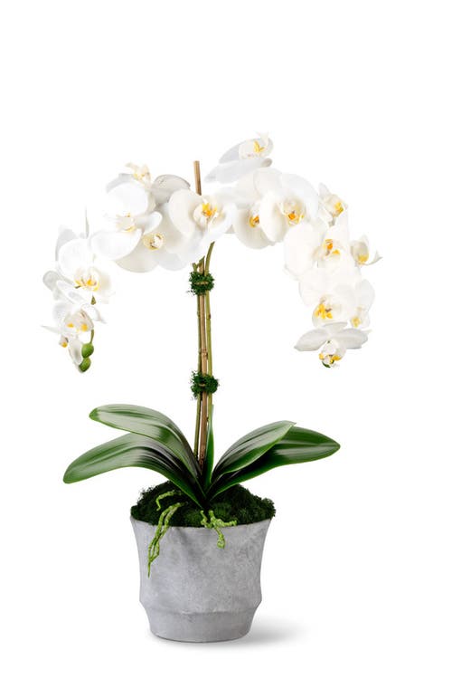 Cocobella Rosalyn Realtouch Orchid In Snow