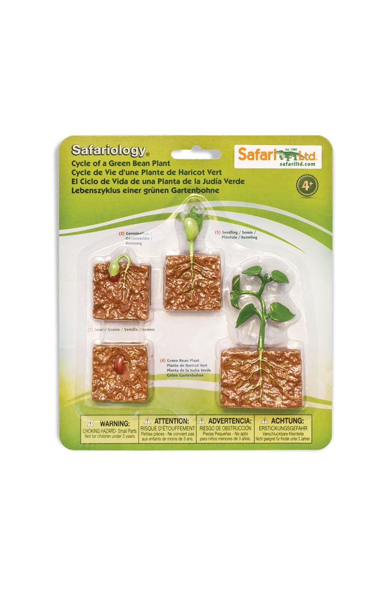Safari Ltd. Life Cycle Of A Green Bean Plant, Main, color, NO COLOR