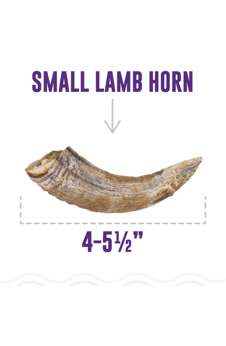 ICELANDIC+ Lamb Horn With Marrow Small 45.5 Inch Dog, Alternate, color, 